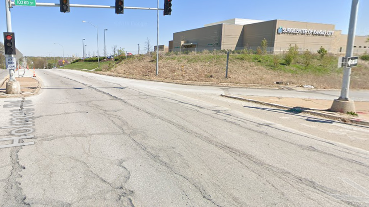 A pedestrian died after being struck by a vehicle in southeast Kansas City early Saturday morning, police say.