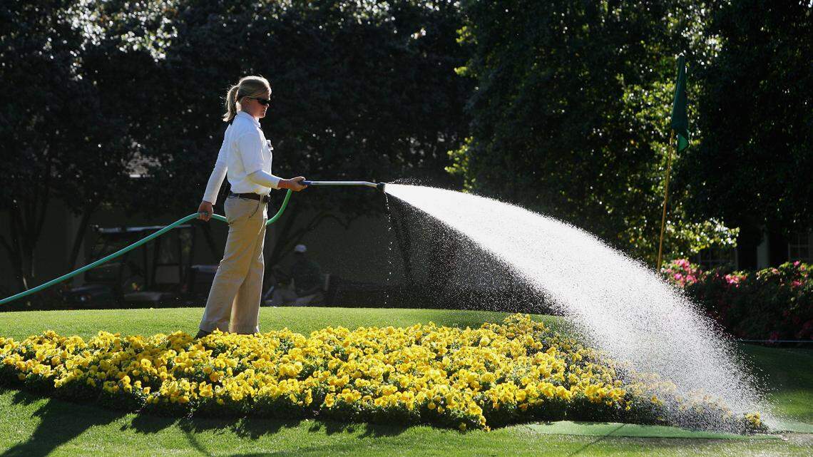 Beginner Gardening Mistakes That Are Quietly Destroying Your Garden