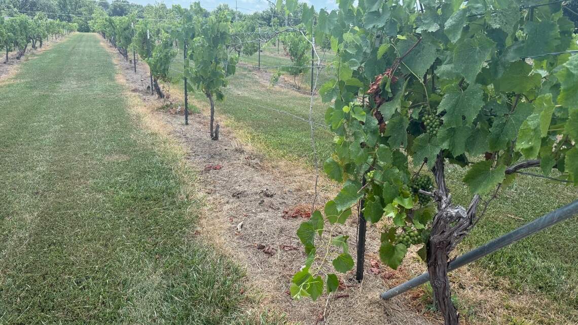 Johnson County winery, family farm closed for now, could reopen at later date