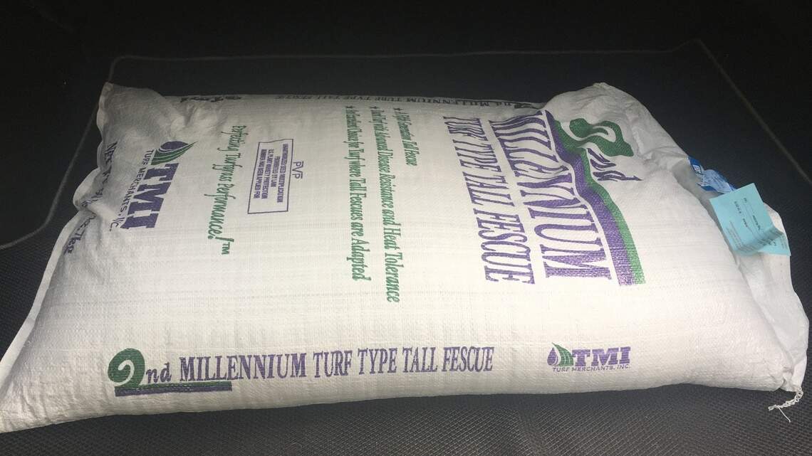 Sowing the seeds of discontent? Only if her secret weapon doesn’t bring lawn to life