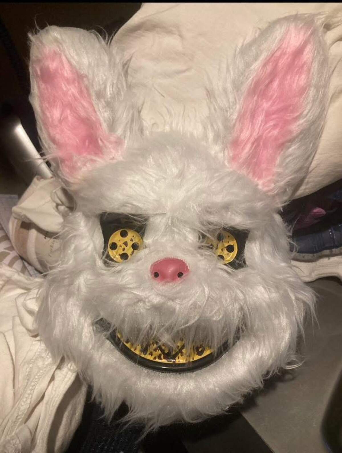 One of the more unusual and memorable items offered was this costume bunny head, successfully gifted through the Lee’s Summit North group.