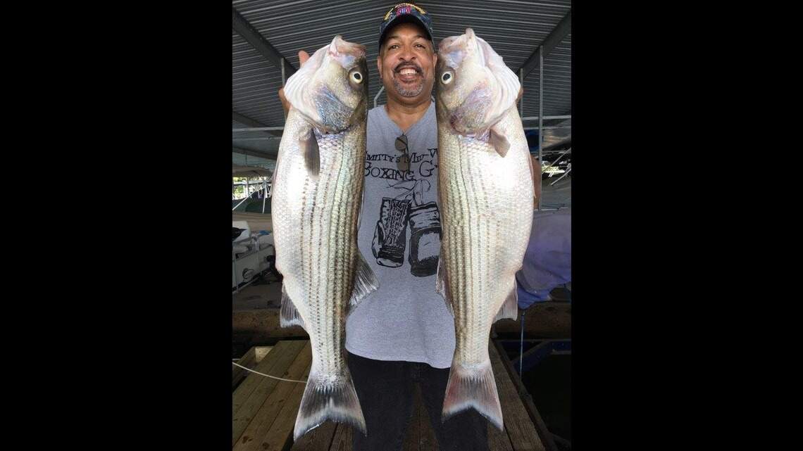 Fishing report: Stripers on Norfork Lake have been hitting well recently