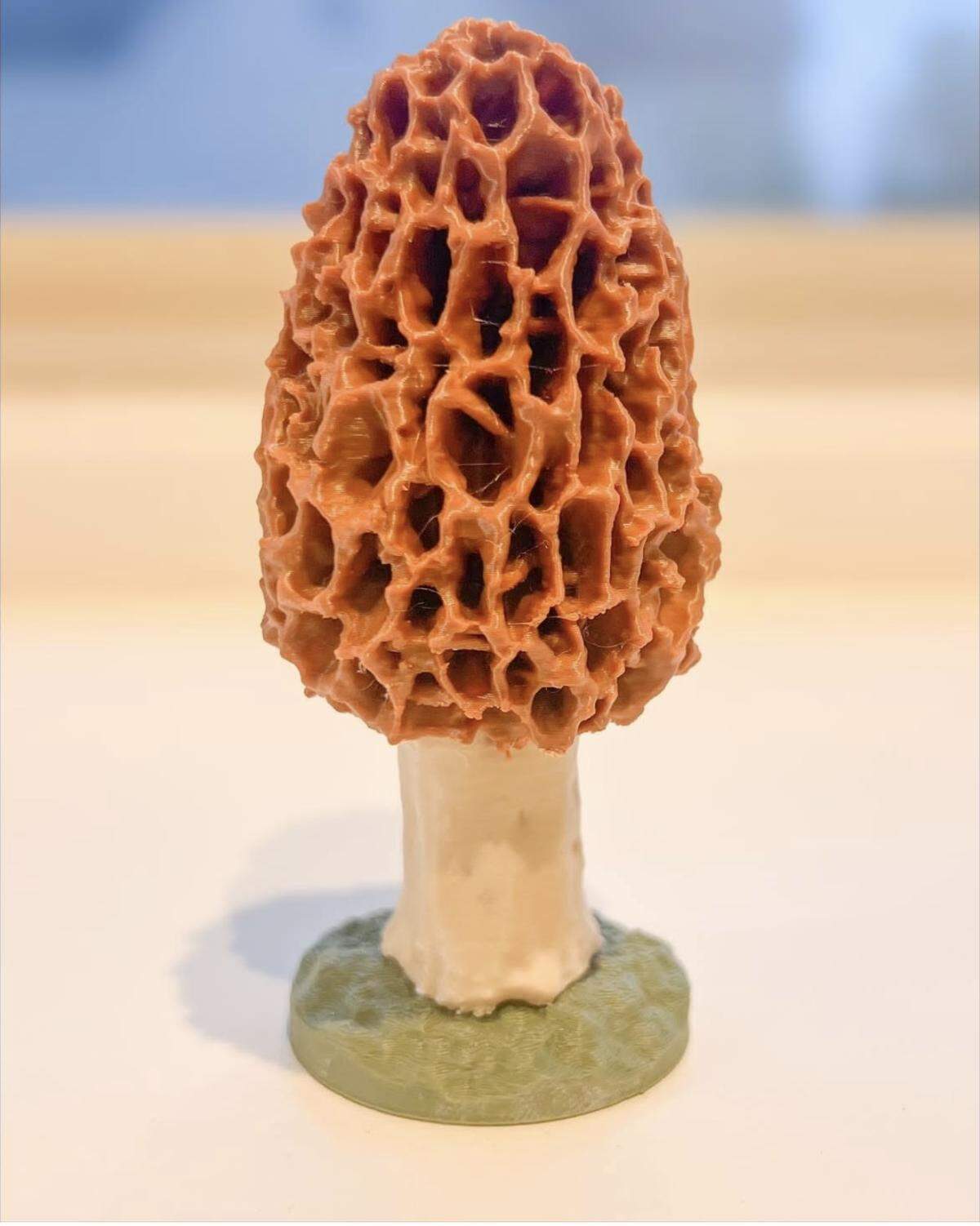 Someone will go home with this 3D morel.