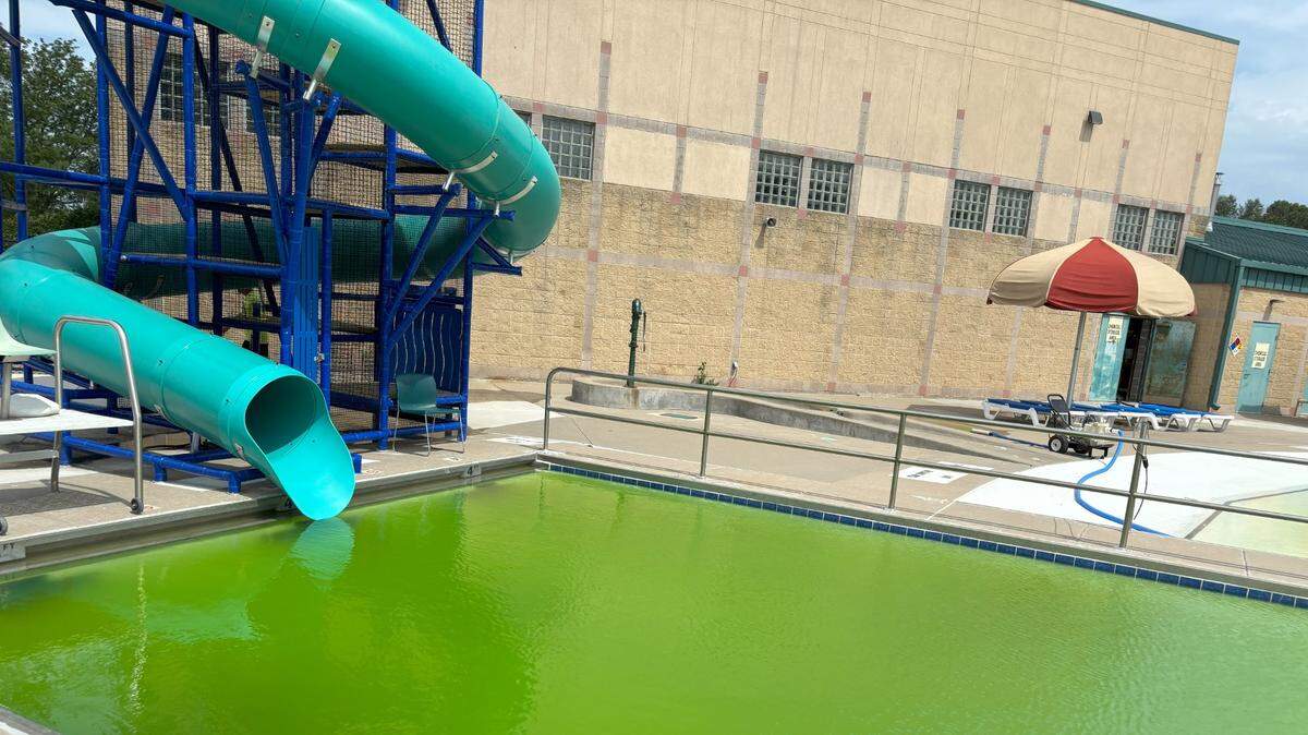 Green was a mainstay at the Budd Park Pool in the 1950 and ’60s