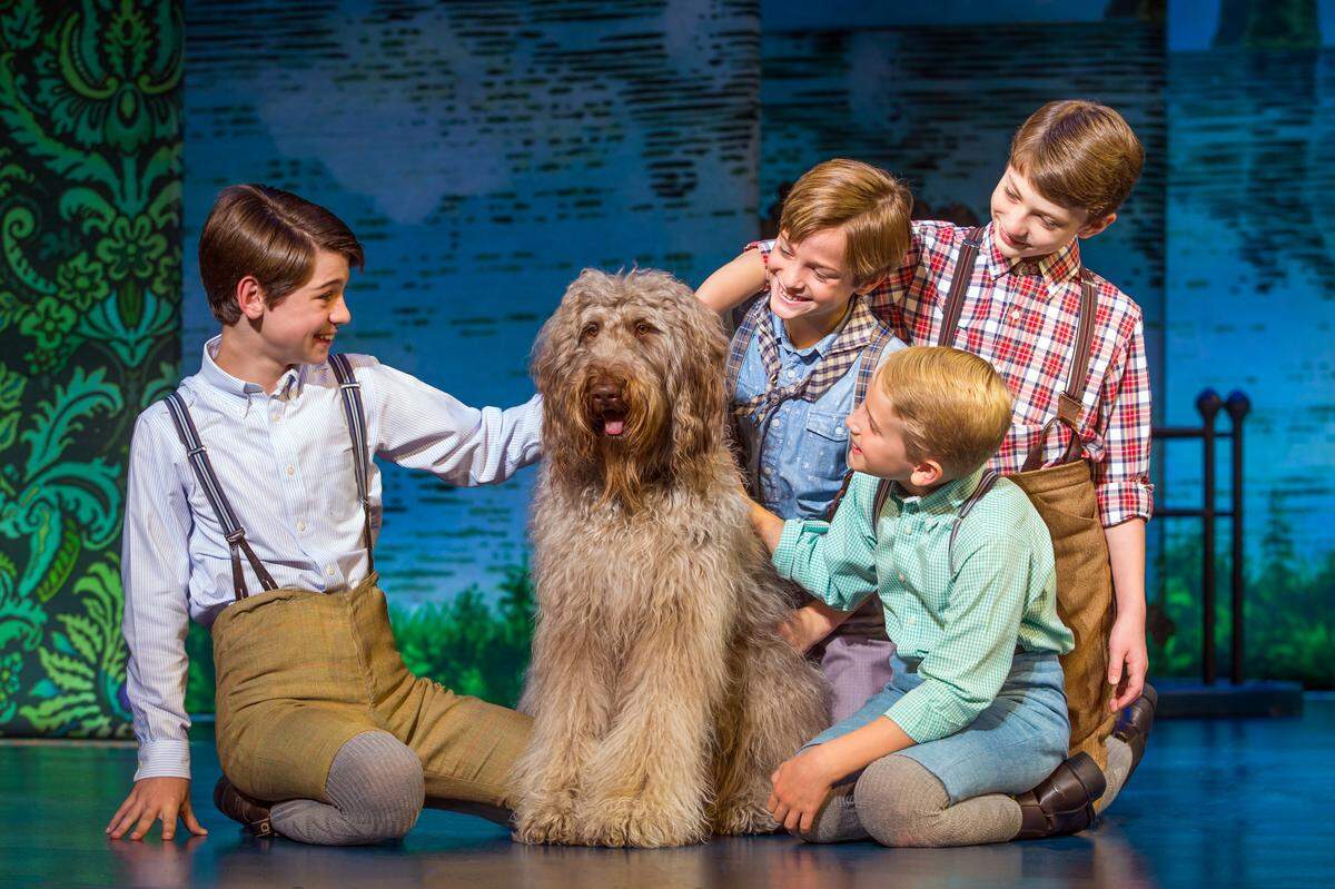 Overland Park native, Janine DiVita, is working with live animals for the first time, in "Finding Neverland" and loves it. "It’s so wonderful to have animals and kids around all the time. It really keeps the cast grounded," she says. Colin Wheeler, Sammy, Turner Birthisel, Bergman Freedman and Wyatt Cirbus.