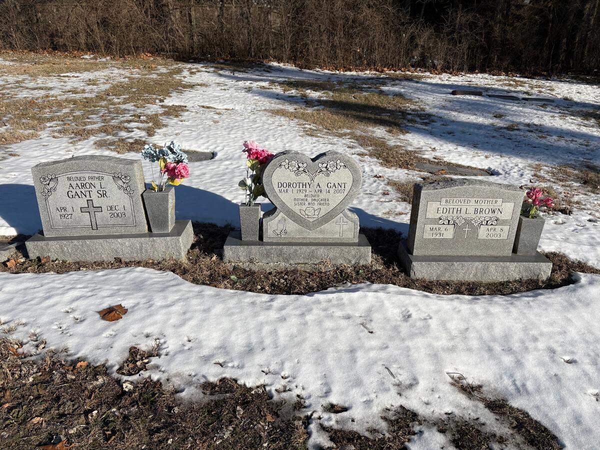 False flowers decorate three headstones in Highland Cemetery in Blue Summit on Thursday, Jan, 23.