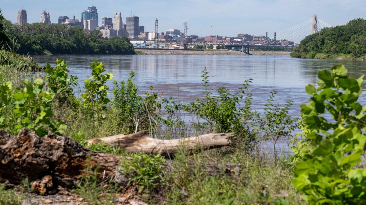 The view of downtown Kansas City from Riverfront Park in Kansas City on Friday, June 7, 2024.