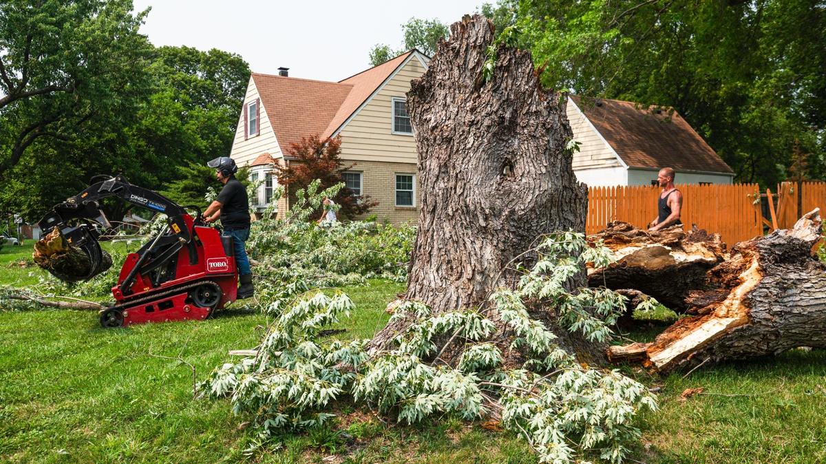 Clean up crews with Midwest Tree remove a fallen silver maple tree from a yard on Saturday, July 15, 2023, in Overland Park. As of 1:30 p.m., just under 65,000 residents in the Kansas City area were without power.