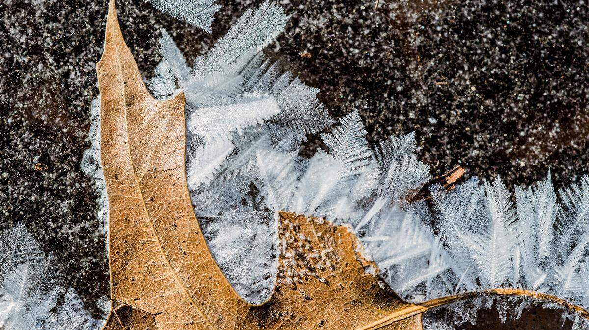 A winter storm is hitting Kansas City with snow and ice. Here’s what’s closed or delayed