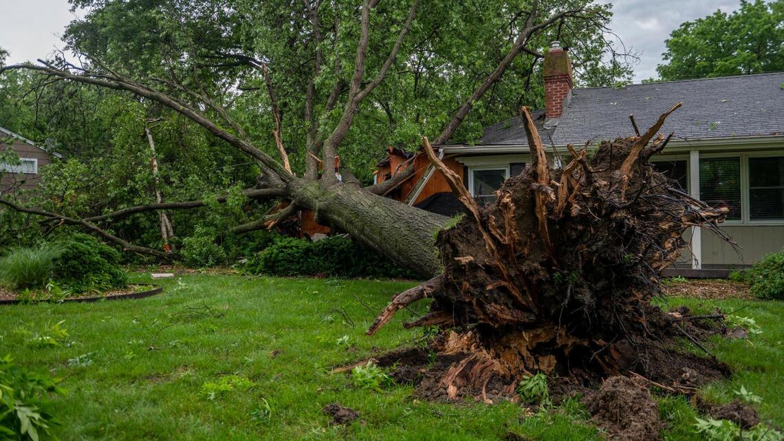 What to do with fallen trees, power lines in Kansas City storm | Kansas ...