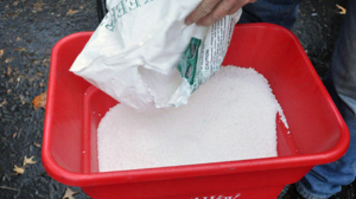 Make your corner of the world a little greener: Here’s the best time to fertilize