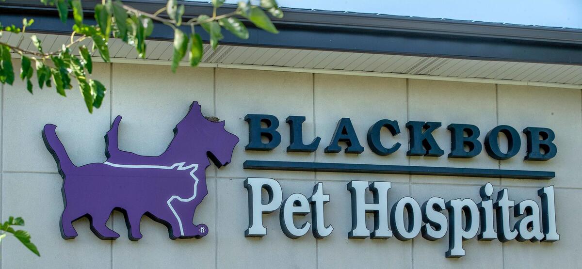 Blackbob Pet hospital, 15200 S. Black Bob Road in Olathe.