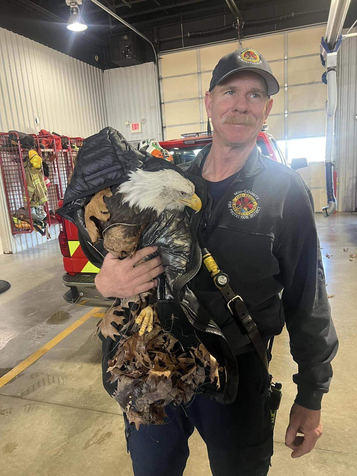 An injured bald eagle was rescued and taken for medical care.
