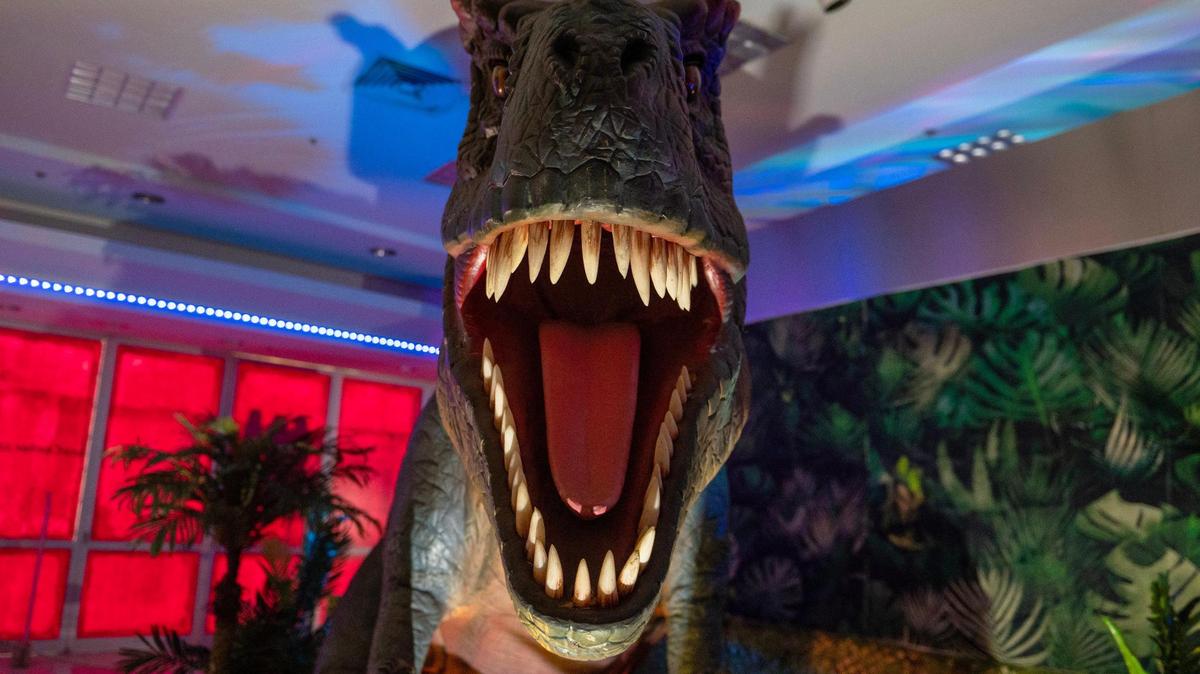 A Tyrannosaurus rex animatronic dinosaur greets visitors in the new Jurassic Giant’s Exhibit & Dino Play center in Independence Center.