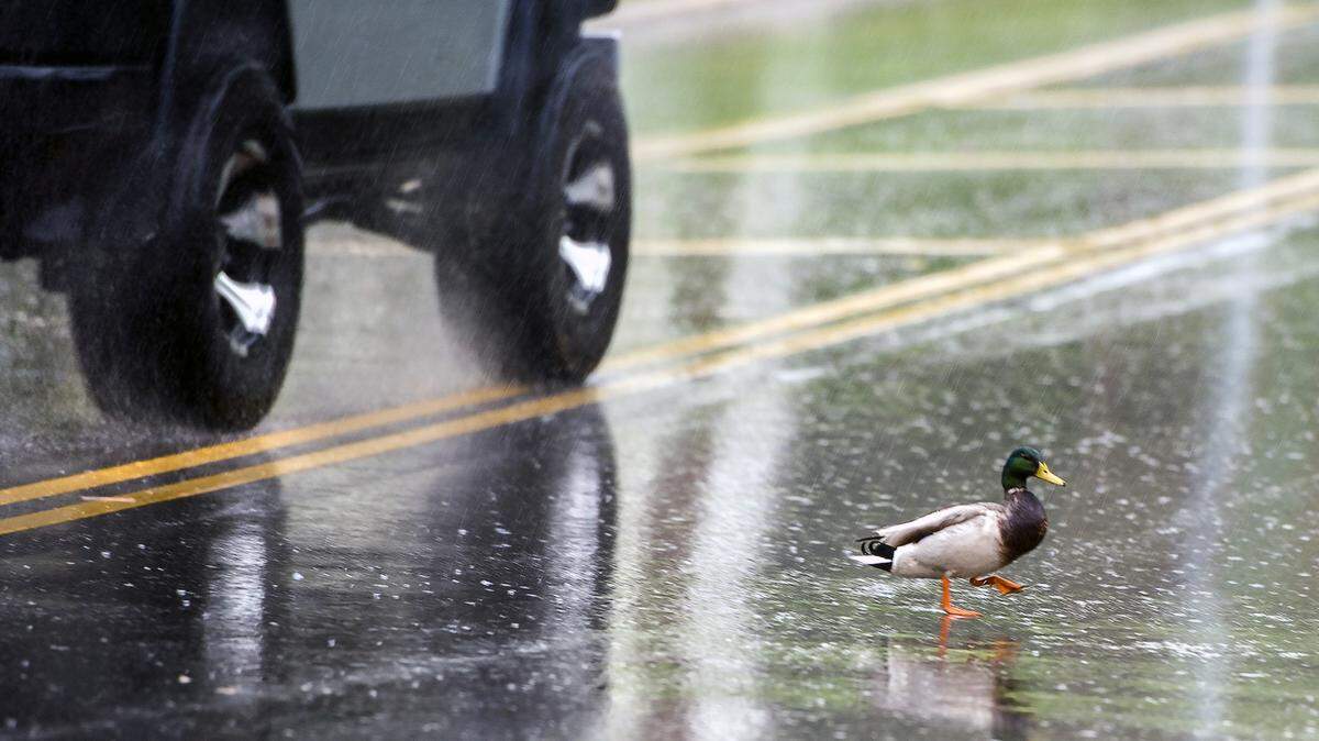 Downpours from Sunday’s thunderstorms soaked the Kansas City area with parts of the metro seeing records shattered for total rainfall. (File Photo)