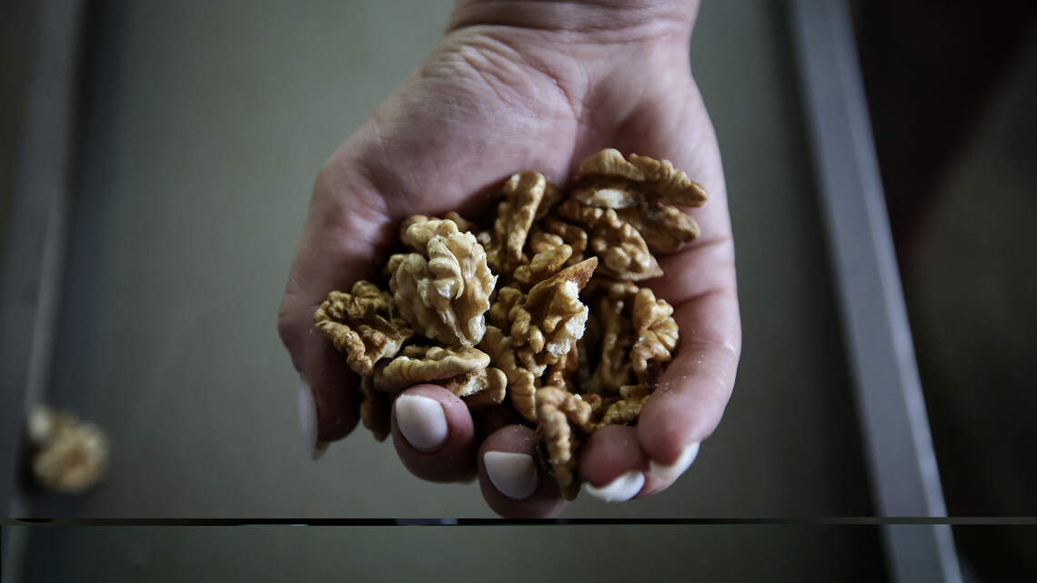 Meet the high-protein foods just starting to replace chicken in everyday meal planning routines
