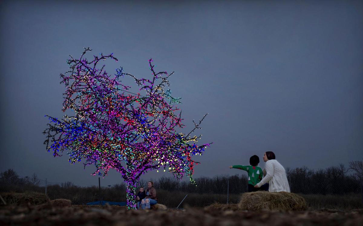 Xavier Garcia, 3, right, was captivated by the glow of the Lee’s Summit Magic Tree, while sitting with his mother, Angela Garcia, on an overcast December evening. The tree is located near I-470 and View High Drive.