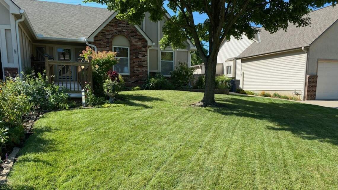 If grass is greener on the other side, your neighbors know value of benign neglect