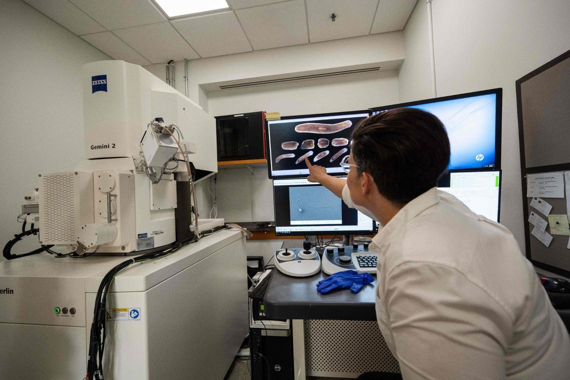 Steph Nowotarski, head of electron microscopy, a technology center inside Stowers Institute for Medical Research in Kansas City. The technology provides a high resolution photo and 3D data that helps them understand the cells of the animals they study.