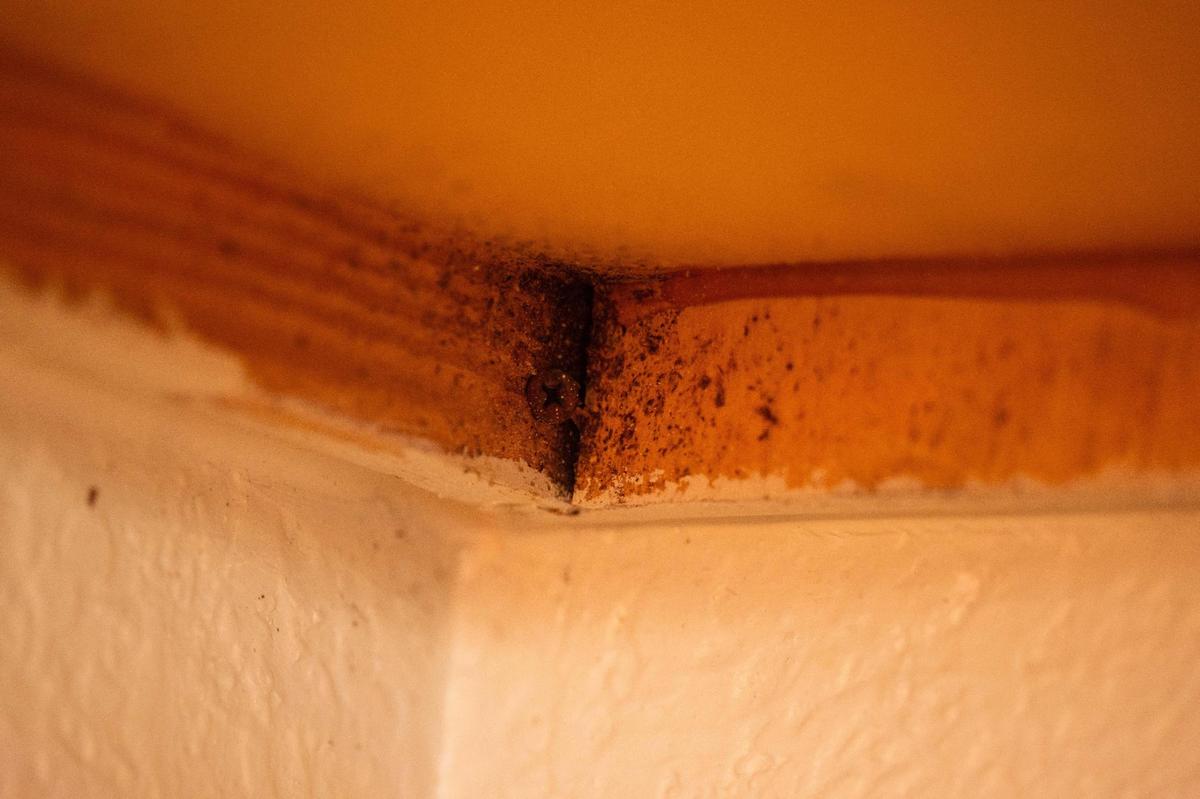 Under the cabinets in Jennifer’s kitchen area at Mayfair Apartments in Kansas City on Tuesday, Jan. 28, 2025.