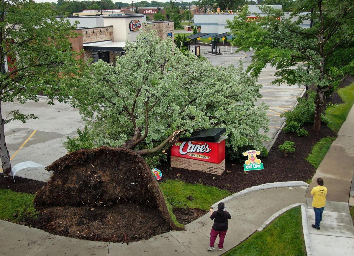 A large tree was uprooted and smashed a sign at Cane’s Chicken Fingers at Oak Park Commons after an early morning storm ripped across the area along 95th Street on Wednesday, June 8, 2022, in Overland Park.