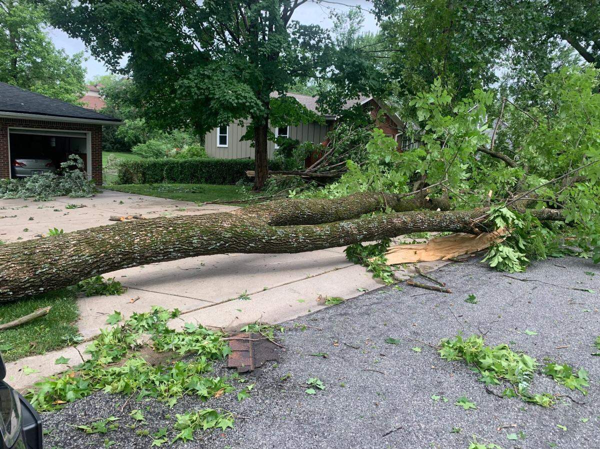 A large tree limb lays across resident Mary Mitchell’s driveway on Windsor Street near 96th street in Leawood, Kansas on Wednesday morning after a night of tornadoes in the area. Mitchell’s house suffered minimal damage in the storm, but many trees in her backyard fell down or lost large branches.