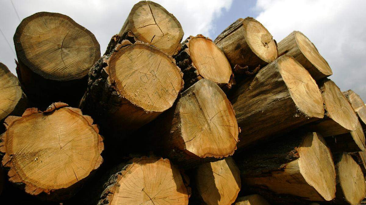An Arkansas man pleaded guilty to cutting down 27 trees from Mark Twain National Forest in Missouri and selling the timber, officials say. (AP Photo/Carolyn Kaster)
