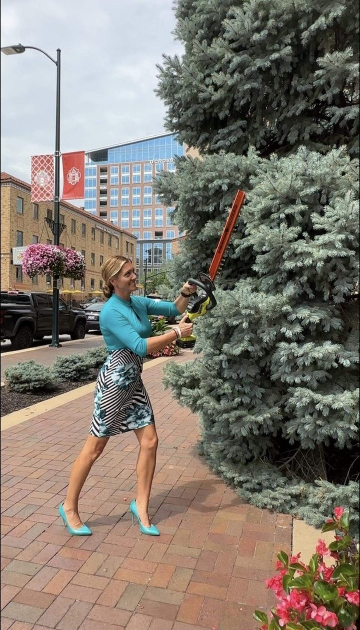 Don’t worry. No trees were harmed in the making of the video. It was just pretend.