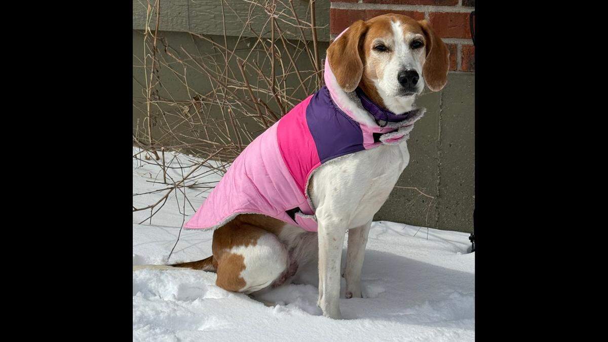 Bella
