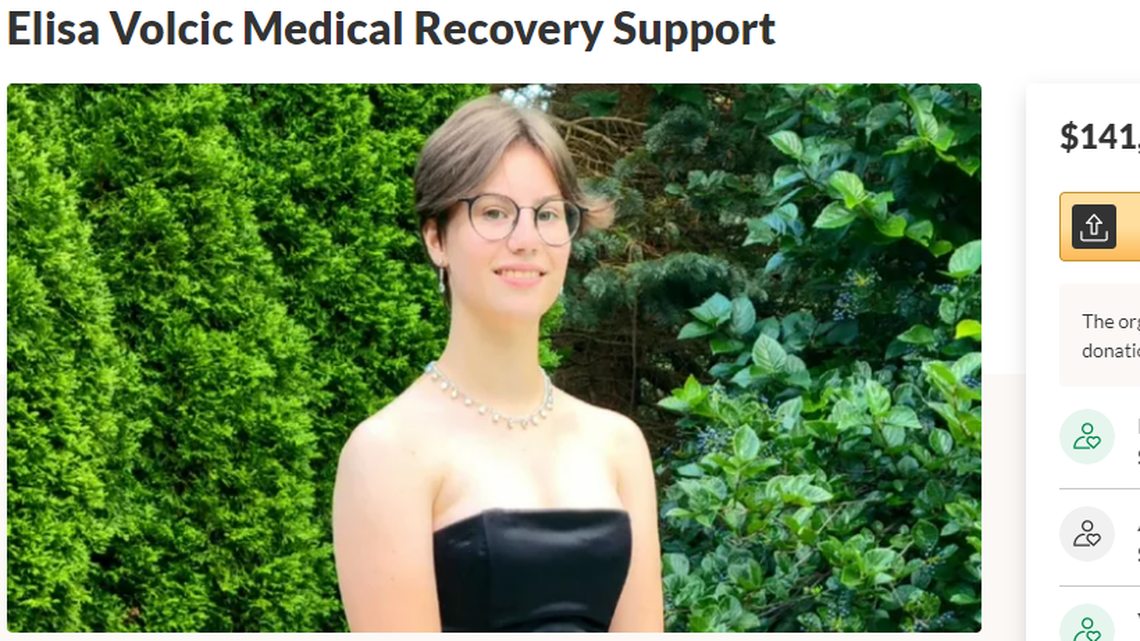 Elisa Volcic died days after she was struck walking home from school.