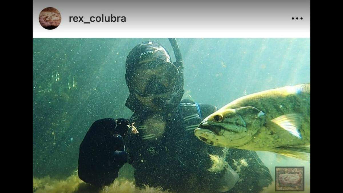 TikToker, Rex Colubra, made an unlikely friend at a lake in Wisconsin.