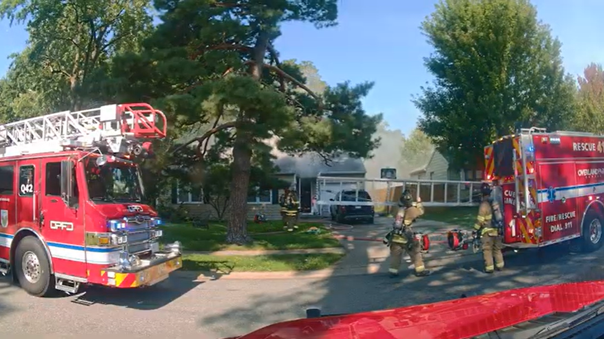 One dog is dead after another dog jumped on a stove at an Overland Park residence, starting a house fire.