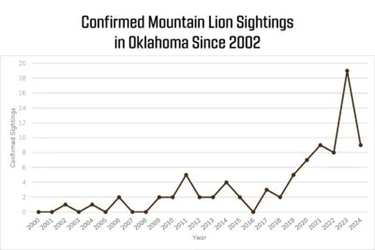 Eighty-five mountain lion sightings have been recorded since 2022, officials said.
