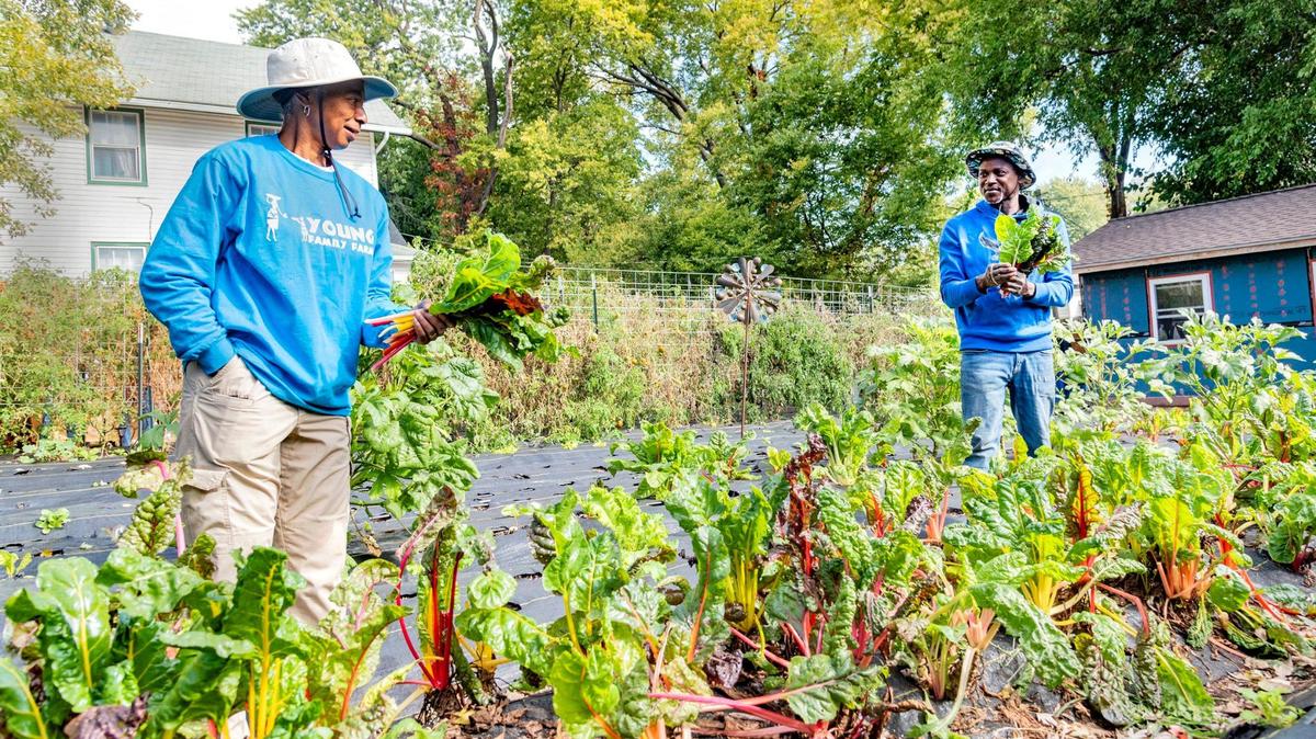 Family matriarch Yolanda Young, left, and Stacey Welch of Young Family Farm in Kansas City harvest greens in October of 2022.