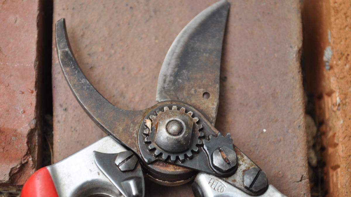Think twice before getting out those pruners in the fall.