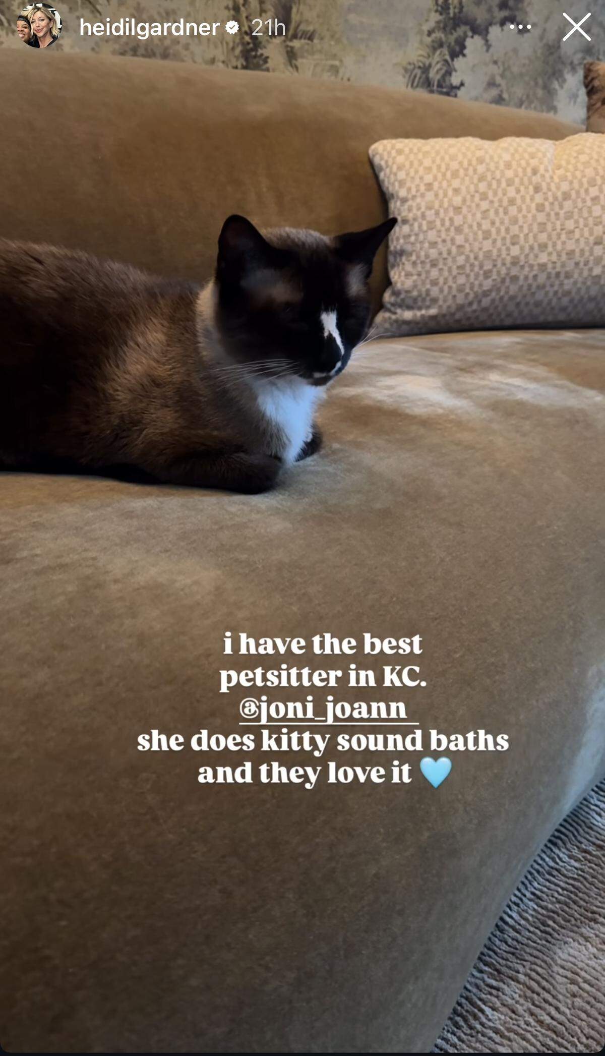 Heidi Gardner boasted about kitty sound baths on Instagram.
