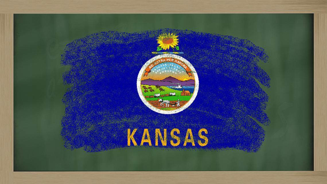 Four current state board of education members decry “wokeness,” and three moderates are leaving. Here’s who’s running to replace them.