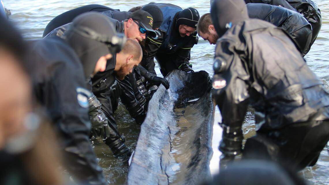 A canoe that is approximately 1,200 years old was removed from Lake Mendota in Wisconsin on Tuesday.