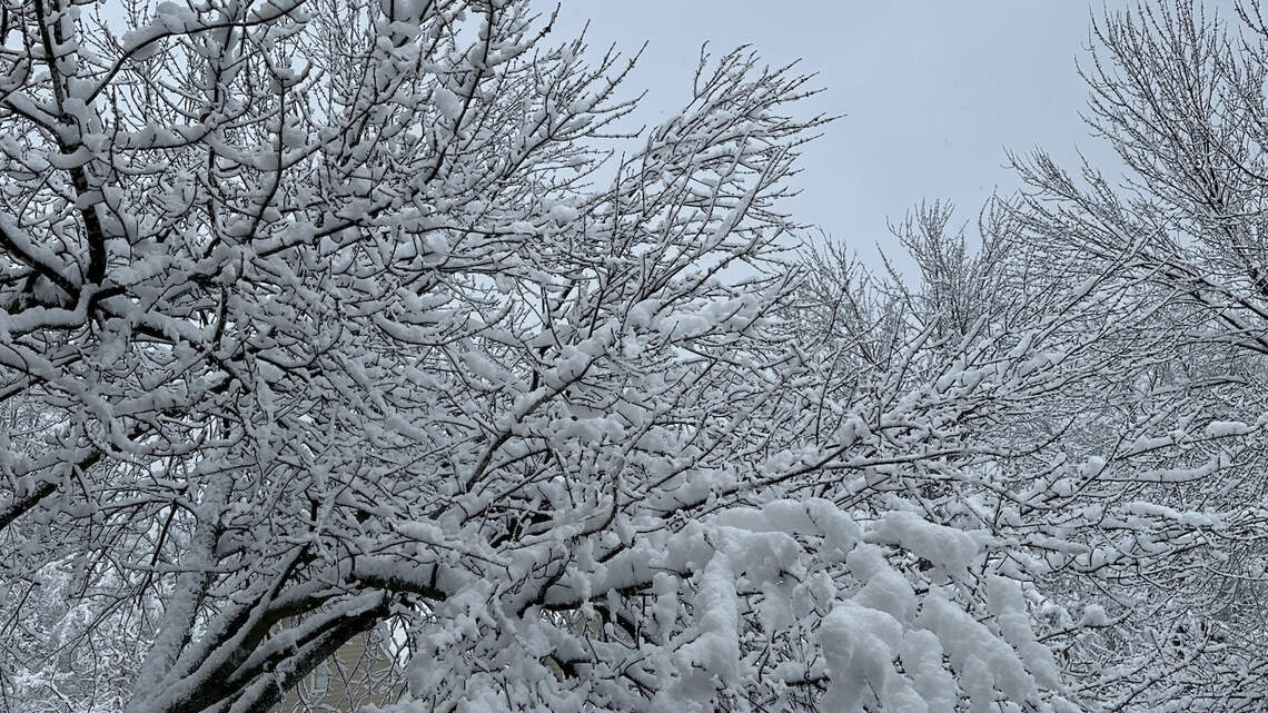 Requirement one for snow is that it should melt after 48 hours. Here are two others