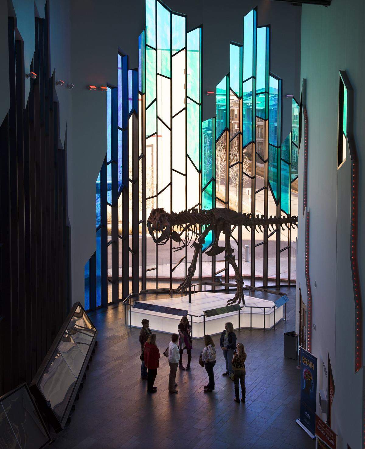 A full-scale cast of the Tyrannosaurus rex discovered by Kansas native Barnum Brown is on display in the Prairiefire Museum's great hall.