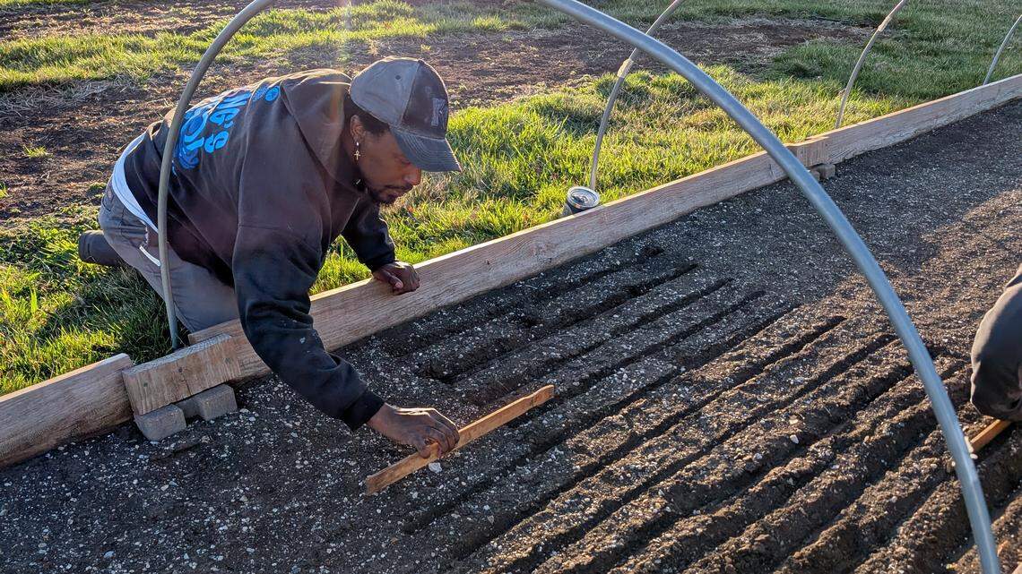 It’s time to assess your KC-area garden for spring. Here’s a checklist to start