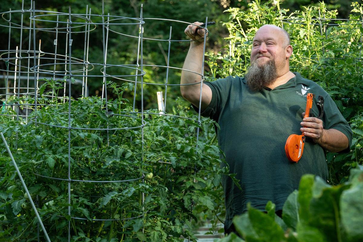 James Worley, founder and owner of Yum Yards, a Kansas City-based home garden setup and service business, provides tips for growing tomatoes at his garden in south Kansas City.