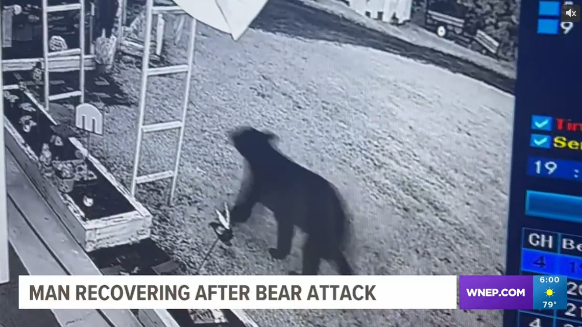 A Pennsylvania man was attacked by a black bear that slipped into the garage of his Valley Township home.