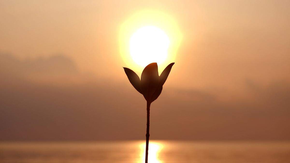 There are tools to help you cope with depression with the changes of daylight saving time.