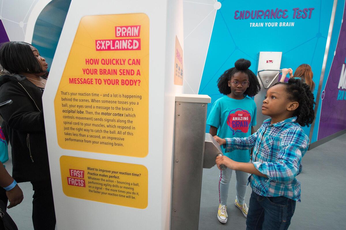Amaris Dykes (left) and Hannah Morgan checked out one of the 14 new interactive displays at Thursday’s opening of “The Amazing Brain,” a $1 million exhibit at Science City at Union Station. Amaris, a fifth-grader, was one of the students who helped create the exhibit.