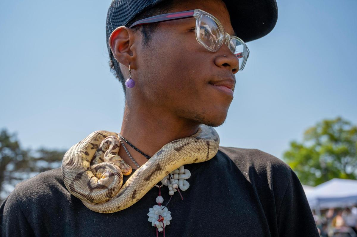 Khai Hean, showcases his pet snake, Ceraza, around his neck while attending the AAPIconic Festival on Saturday, May 20, 2023, in Kansas City.