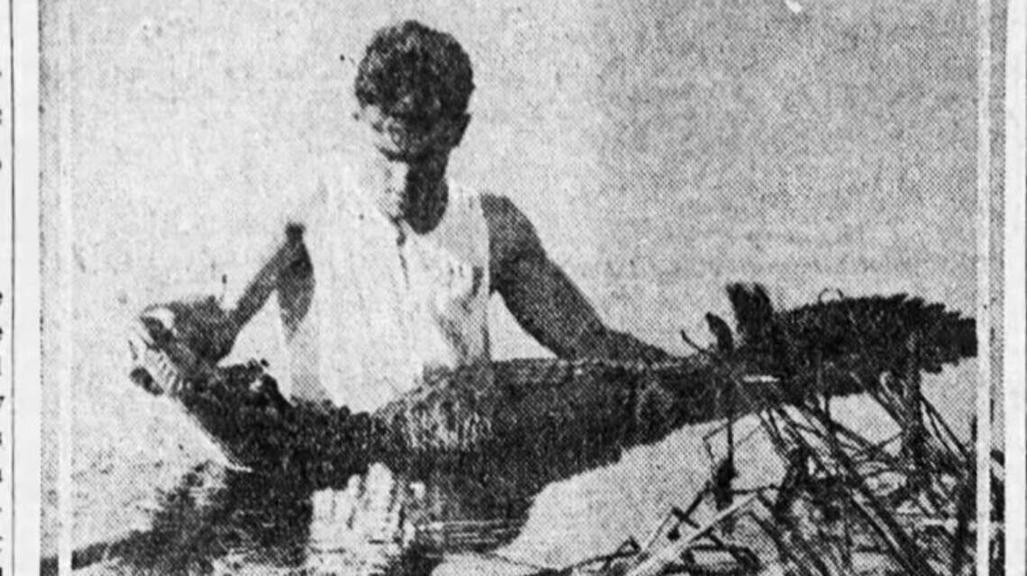 Alligators were a popular attraction at early 1900s Kansas City amusement park