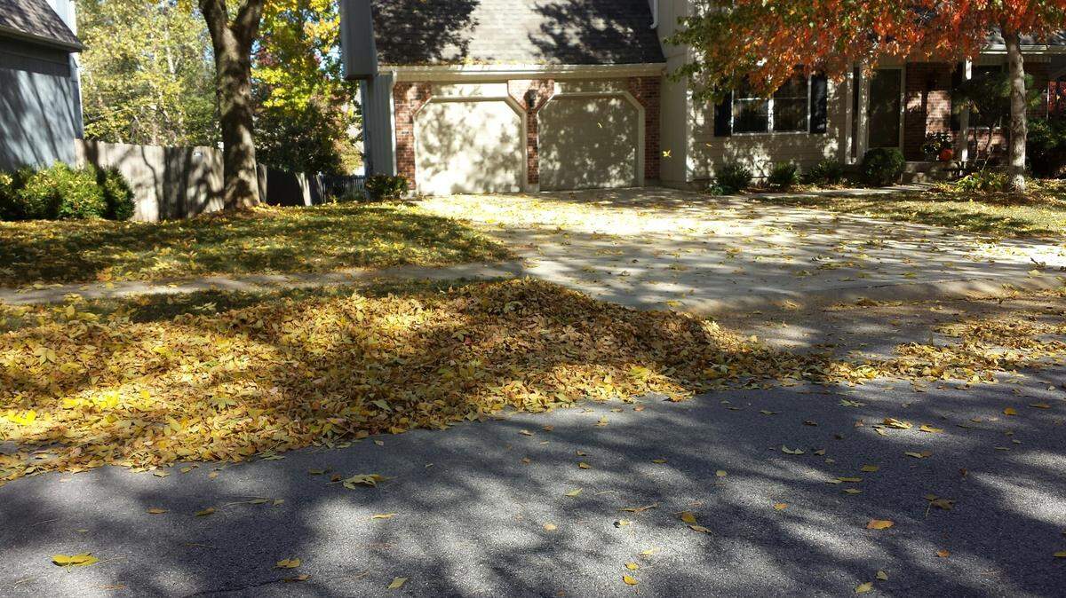 Don’t run for the rake when you see piles of fallen leaves. Run for the lawnmower. The goal of mulch mowing is to decrease work and the number of bagged leaves sent to our landfills.