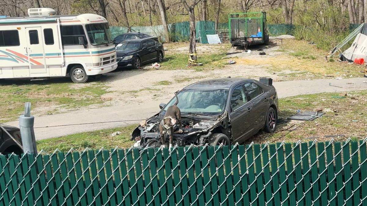 A dog was tied to a car at the Thibeaux residence, almost five months after Chris Culbertson was mauled nearby. March 26, 2025.