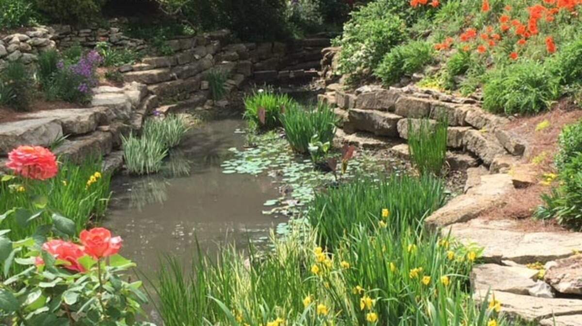 A perfect growing environment would bring a bright, bountiful spring garden. The Monet garden is a prime example.
